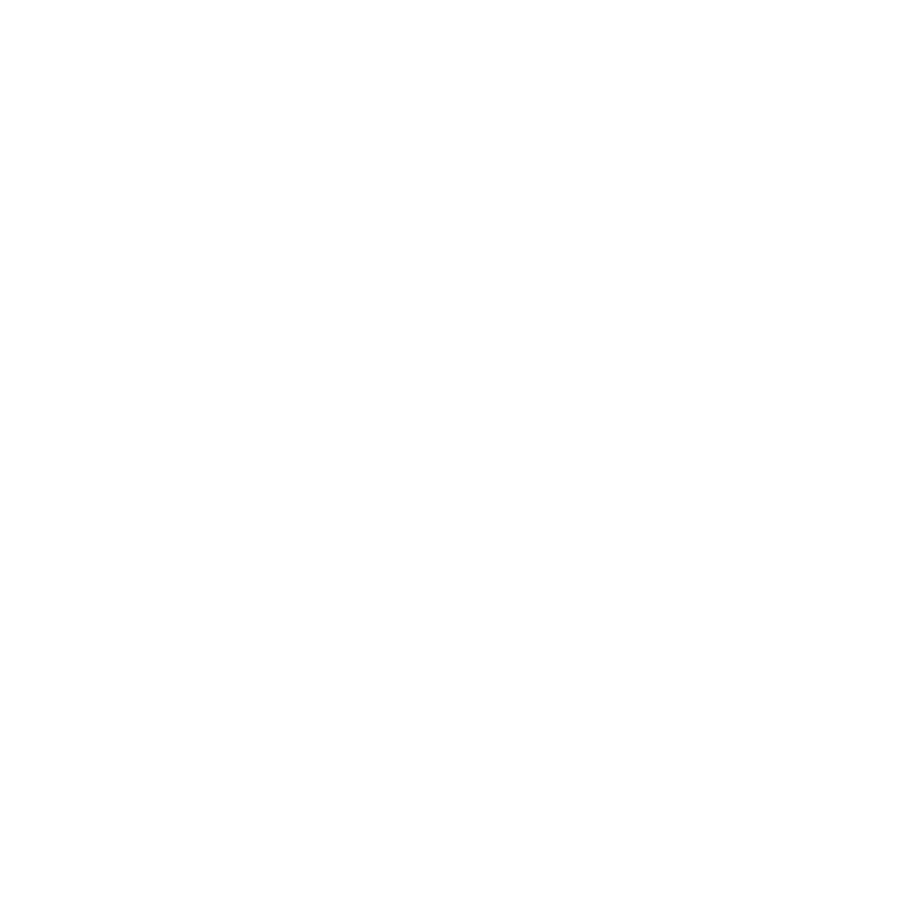 VSL Packaging logo